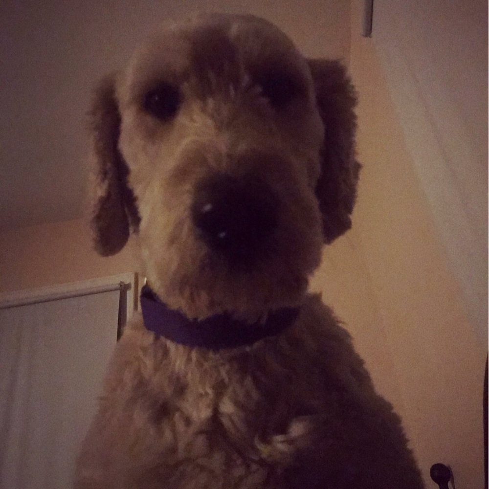 Meet your Posher, Scott